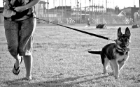 img_0694-version-2