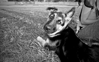 img_0811-version-2