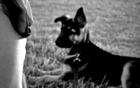 img_0819