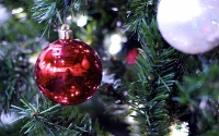 img_1114-version-3