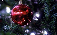 img_1115-version-2