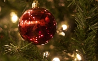 img_1115-version-3