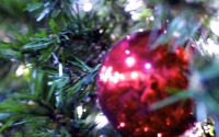 img_1297-version-2