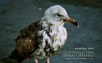 november-calendar-1