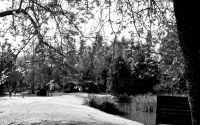img_4075