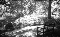 img_4122-version-2