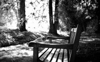 img_4132-version-2