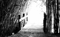img_4141-version-2
