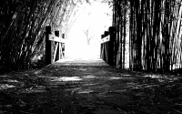 img_4147-version-2