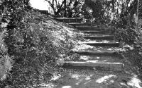 img_4200