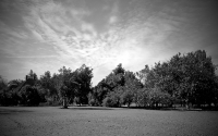 img_4209-version-2