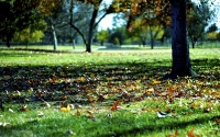 img_1451-version-2