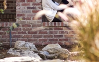 pokey-senior-portraits-31